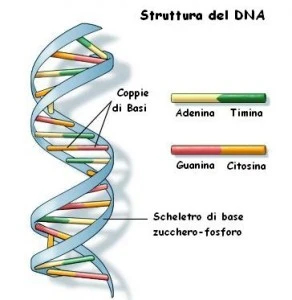 Mutazioni Genetiche Molfetta