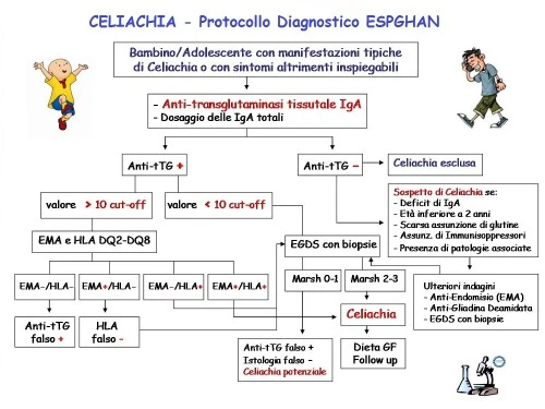 CELIACHIA - Protocollo Diagnostico ESPGHAN : (Molfetta)